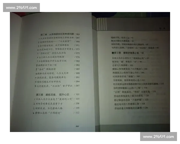 完全超越同类标准的非凡层次探索与深度解析 完全超越同类标准的非凡层次探索与深度解析